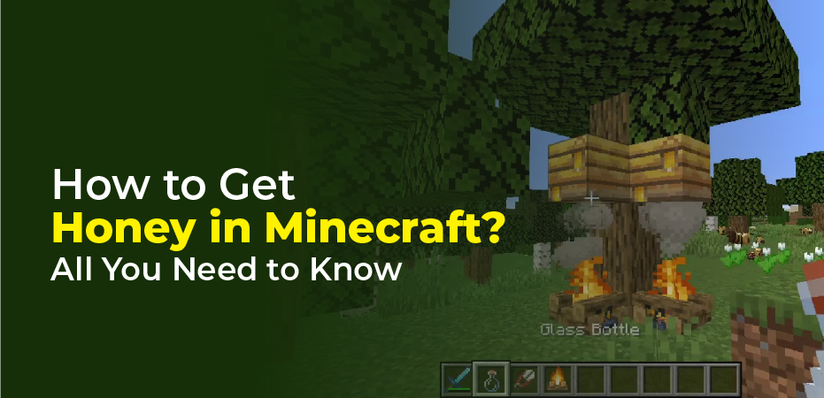 How to get honey in Minecraft