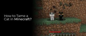 How to tame a cat in Minecraft