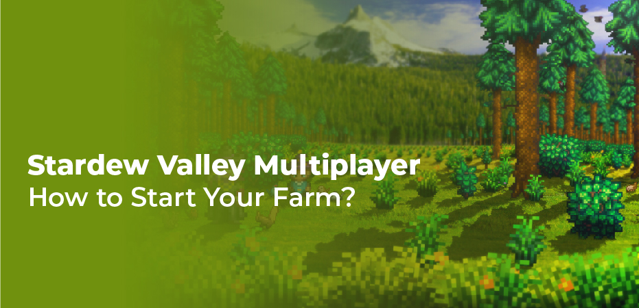 Stardew Valley Multiplayer