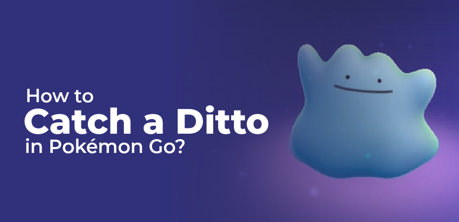 How to Catch a Ditto in Pokémon Go